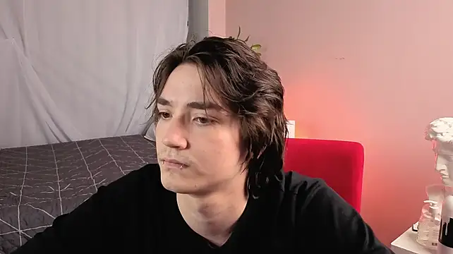 maks_brayn webcam