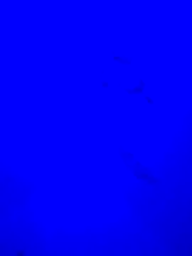FrancaiseLynne webcam