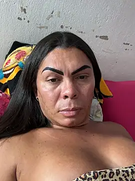 Bellatrans__