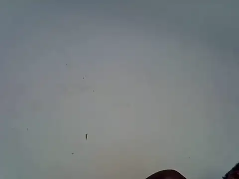 African_qeen1 live cam room