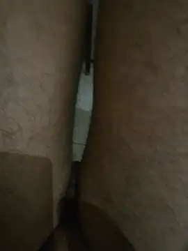 aliyaadzika1