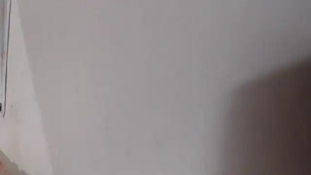 alexam_gal@xh