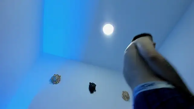 thekingcockboy