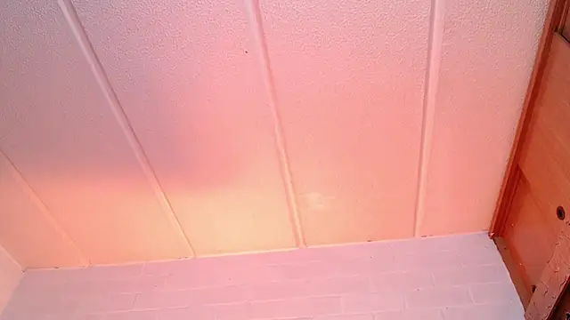 Amy66 live cam preview