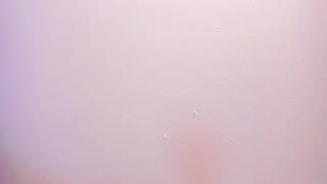 SusanSimpson16 webcam