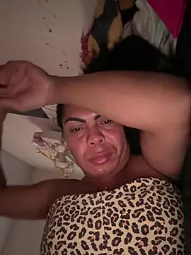 Bellatrans__