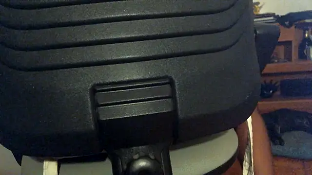 adoroleporke live cam preview