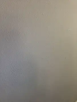Lara_petit