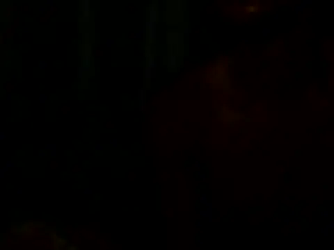 Black_king22