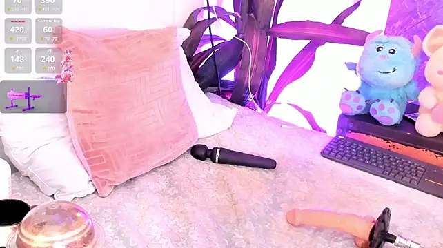 Meg_Stein