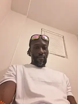 King_BlackStallion