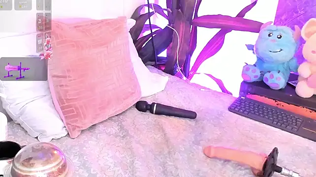 Meg_Stein