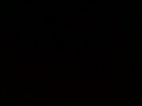 NocnyGosc69