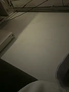 DirtyBerrz webcam