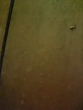 Avocadorable_