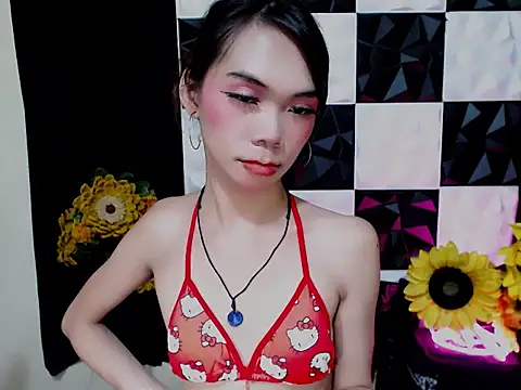 SKINNYasianSLUTs live cam preview