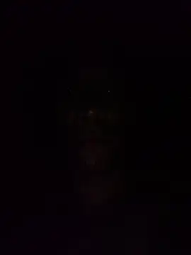 Elmono__1