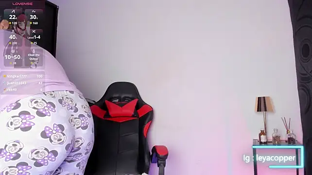 Leyacopper_