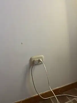 Lara_petit