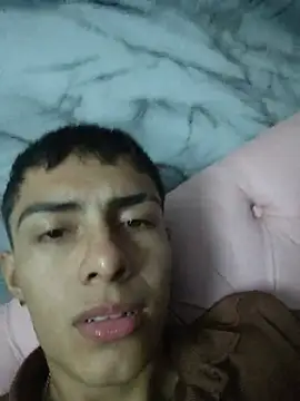 Bruno_fox