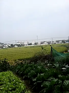 Xiao_mei08