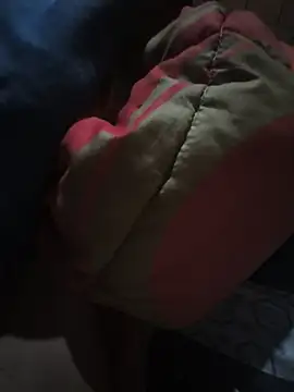 donflamingo12