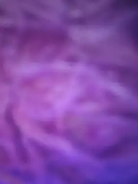 TAMIL_ELAKKIYA