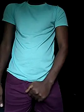 TNsouthmodel