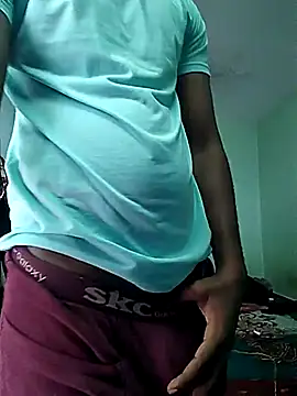 TNsouthmodel