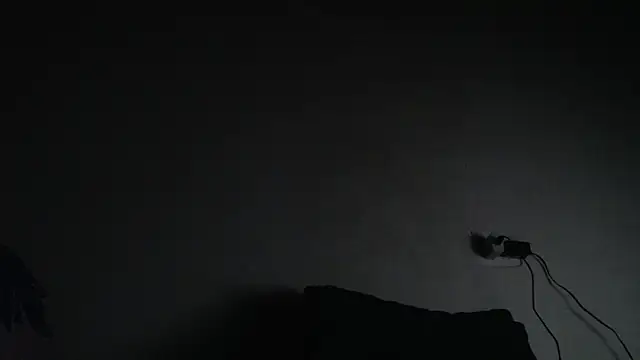 avaleri_cherry