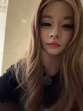 MeimoDog
