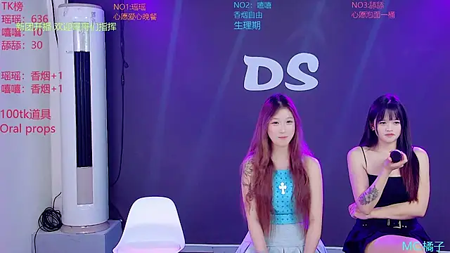 Ds-01 webcam