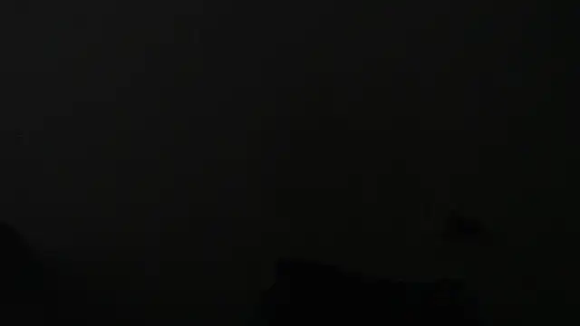avaleri_cherry