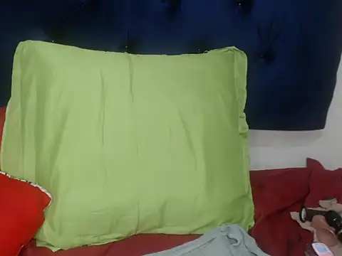 DidyBerry webcam