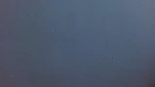 Joeysexx2 webcam