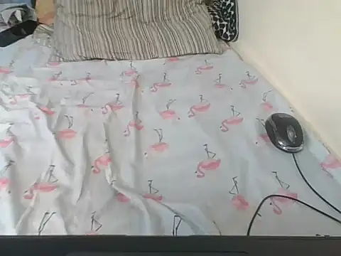 clarializ webcam