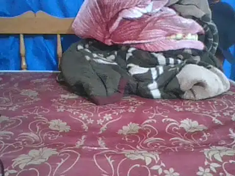 Felypetite