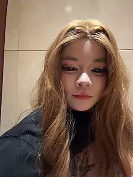 MeimoDog webcam