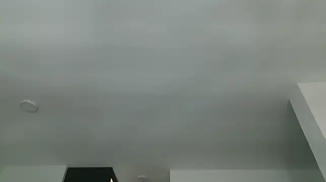 grey___27 webcam