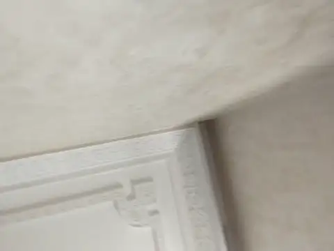 fatineae1