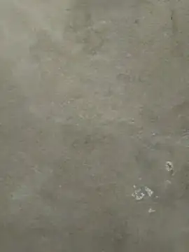like2008 live cam room
