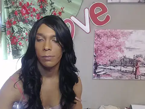 CopedKarate live cam preview