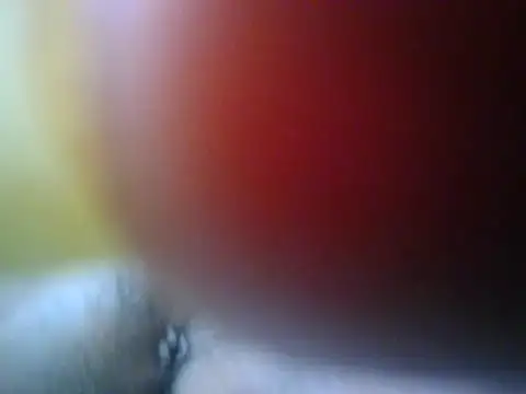 leximia01