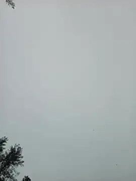 Natacha_sweden