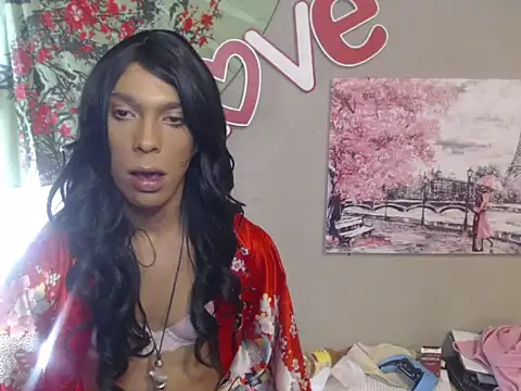CopedKarate live cam preview