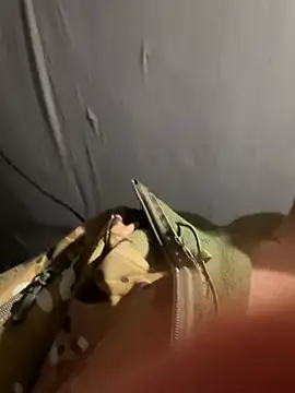Lion21s