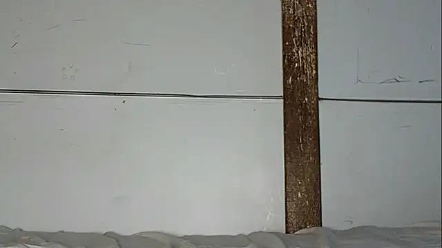 pakura webcam