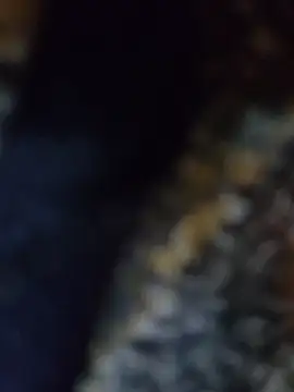 Felix_Asher