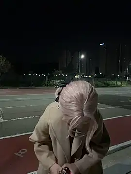 Webcam en directo de la tetona winter11