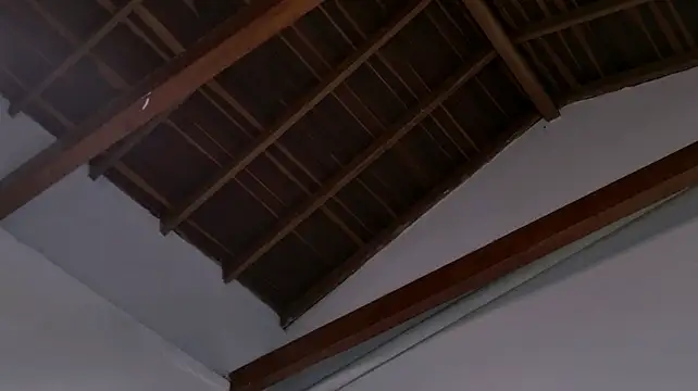 TonyPetrovjs